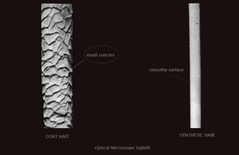 Microscopic view of Goat hair and Taklon